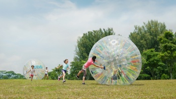  ZOVBボールに入って芝生の上を回り転がる人