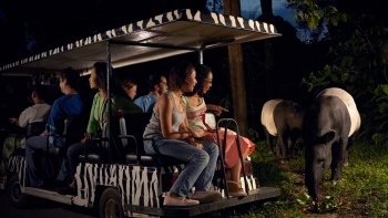 Visitors on a tram seeing a Malayan Tapir in Night Safari Singapore