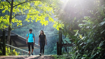 Daytime outdoors distant frontal shot of young couple hiking on trail