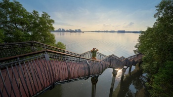 スンガイ・ブロー湿地保護区の展望ポッドとスンガイ・ブロー湿地保護区の海辺の遊歩道の写真