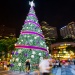 ショー・ハウスを背景に立つ、電飾で彩られたクリスマスツリー。