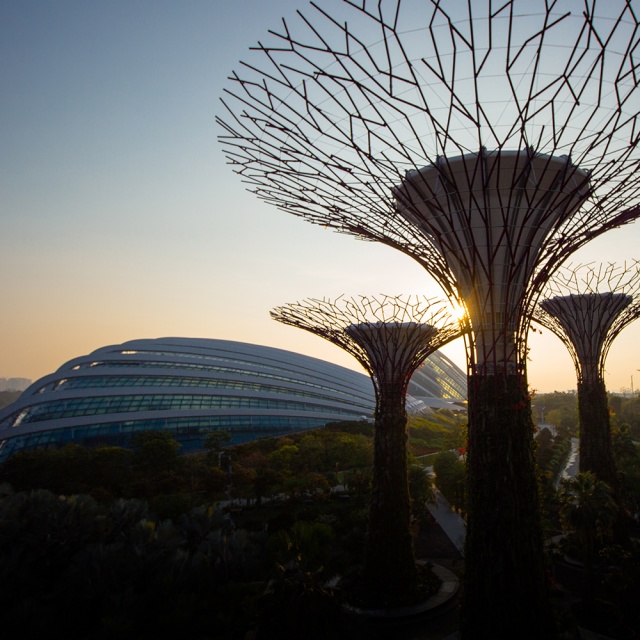 シンガポール観光 - Visit Singapore 公式サイト
