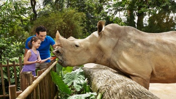 シンガポール動物園でサイにエサをやる子ども