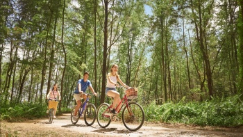자연친화적인 코니아일랜드 공원에서 아름다운 하루를 즐기고 있는 자전거 타는 사람들