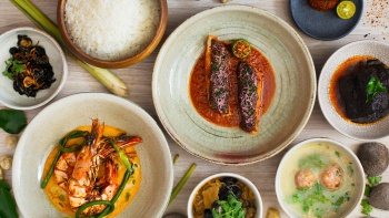캔들너트(Candlenut)의 요리