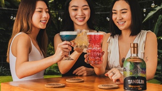 터보 앤 토닉, 뎀시 힐에서의 트로피컬 번아웃