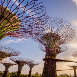 싱가포르 가든스 바이 더 베이에 있는 웅장하고 아름다운 슈퍼트리