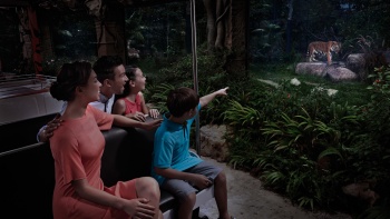 싱가포르 나이트 사파리에서 트램을 타고 말레이 호랑이를 보고 있는 가족