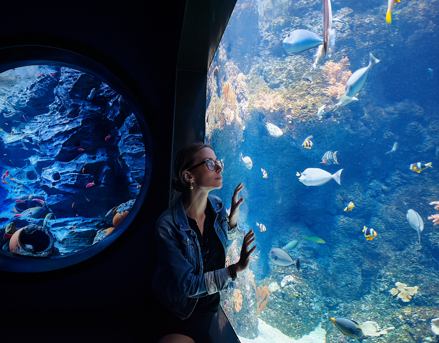 Singapore Oceanarium | Credit: Resorts World Sentosa