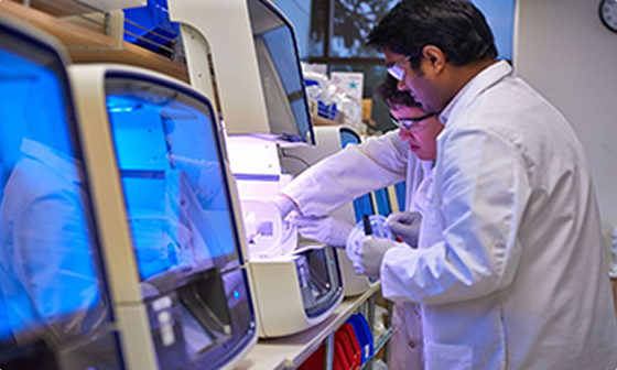 applied health science