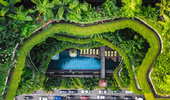 sustainability in action