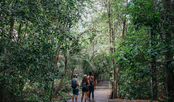 Singapore's City in Nature