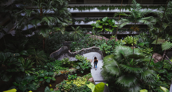 Where Delegates Stay, Sustainably
