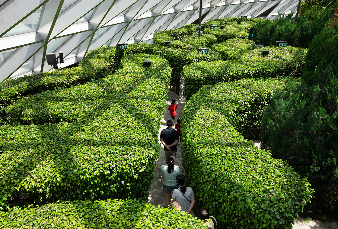 sustainability in action