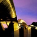 Colours of the sunset reflecting on Henderson Waves Bridge giving it a beautiful golden sparkle