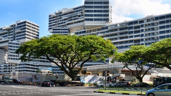 Exterior of The Interlace from ground level with lush trees