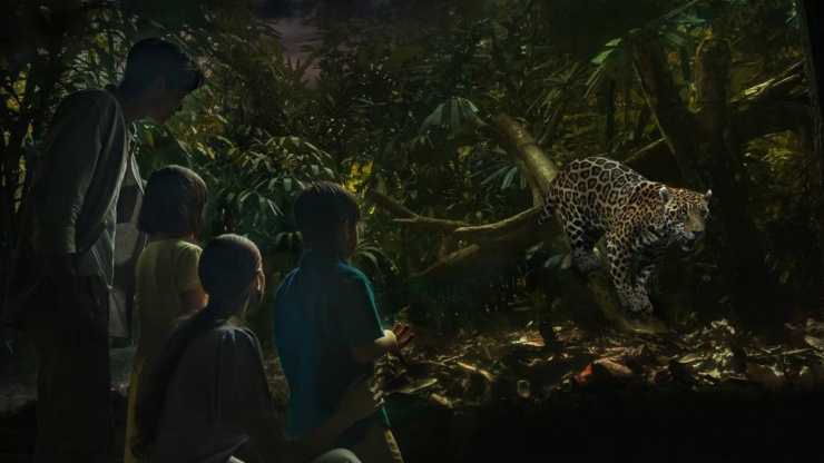 Explore Animals in the Night Safari at Singapore Zoo - Visit Singapore  Official Site