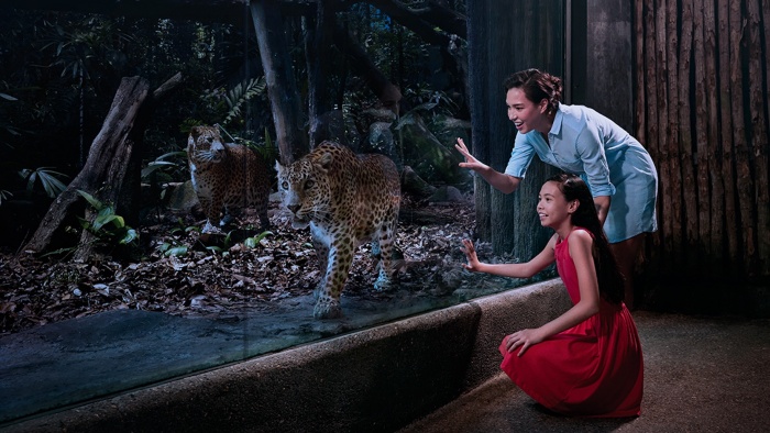 Family looking into the tiger enclosure at Night Safari Singapore