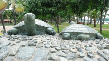 Close up shot of two tortoise stone statues
