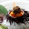 Close up shot of Waku Ghin’s sea urchin dish