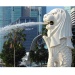 A vertical shot of the Merlion spouting water in the day, with Singapore skyline in the background