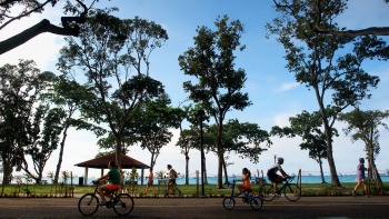 People cycling at East Coast Park. 