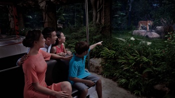 A family getting a view of the Malayan tiger from the tram at the Singapore Night Safari