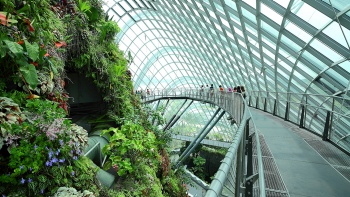 Conservatory trail at Gardens by the Bay