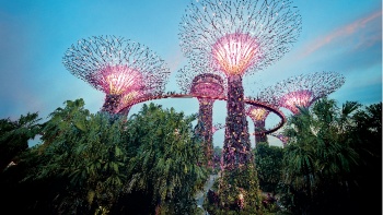 Beautiful landscape shot of Super Trees at Gardens By The Bay by AKTS