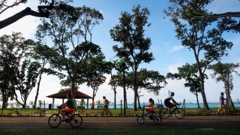 Day scenery at East Coast Park, with cyclists and pedestrians along the path.