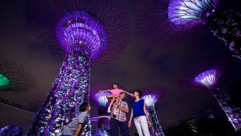 ภาพตอนกลางคืนของครอบครัวที่ยืนอยู่ท่ามกลาง Supertrees