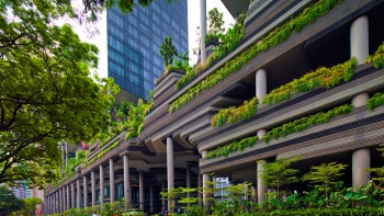 ด้านหน้าที่เขียวชอุ่มของ PARKROYAL on Pickering