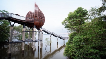 จุดสังเกตการณ์บนทางเดินริมน้ำที่ Sungei Buloh Wetland Reserve (เขตอนุรักษ์ธรรมชาติพื้นที่ลุ่มน้ำ สุไหง บูลอร์)