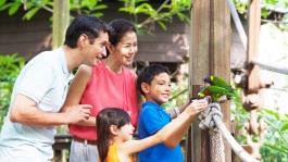 ครอบครัวกำลังให้อาหารนกที่ Jurong Bird Park (สวนนกจูร่ง)