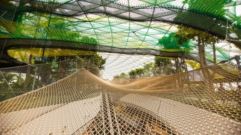 Canopy Park ที่ Jewel Changi