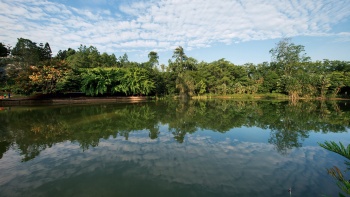 ภาพ Swan Lake ที่ Singapore Botanic Gardens