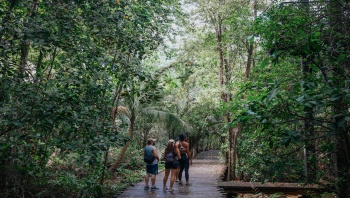 ภาพบรรดานักท่องเที่ยวกำลังเดินป่าใน Chek Jawa Wetlands ที่เกาะ Pulau Ubin