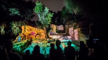 ศิลปะจัดวางแบบอินเทอร์แอคทีฟที่ Rainforest Lumina