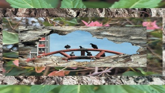 ย่าน Kampong Gelam: SAWxPA: Roots and Wings by Arterly Obsessed 