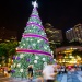 ต้นคริสต์มาสสวยงามสว่างไสวโดยมีอาคาร Shaw House ปรากฏอยู่ด้านหลัง