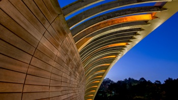 Henderson Waves (สะพานเฮนเดอสัน เวฟ) ยึดด้วยเหล็กโค้งและตกแต่งด้วยโครงร่างที่โค้งงอจากแผ่นไม้บาเลา