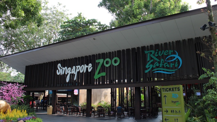 Singapore Zoo (สวนสัตว์สิงคโปร์)