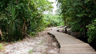 เส้นทางเดินป่าที่เกาะปูเลาอูบิน ภาพโดย Michele Solmi จาก Foter.com