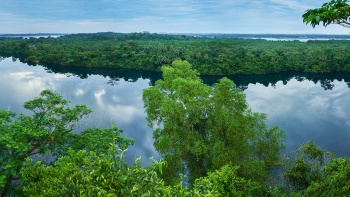 ภาพมุมกว้างที่แสดงภูมิทัศน์ของ Pulau Ubin