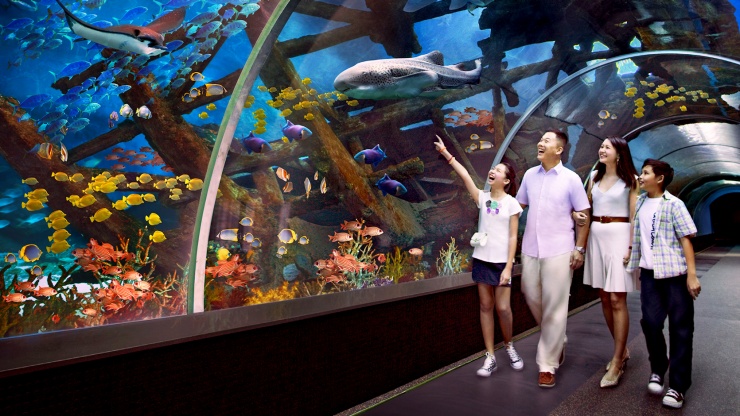 ภาพมุมกว้างของครอบครัวที่พิพิธภัณฑ์สัตว์น้ำ S.E.A Aquarium ที่ Resorts World™ Sentosa
