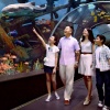 ครอบครัวกำลังตื่นเต้นกับสัตว์ทะเลที่พิพิธภัณฑ์สัตว์น้ำ S.E.A Aquarium™
