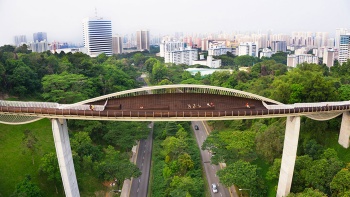 ภาพสะพาน Henderson Waves ในช่วงกลางวัน