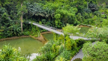 Singapore Botanic Gardens (สวนพฤกษศาสตร์สิงคโปร์)