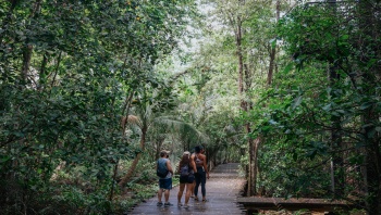 Hình ảnh những người đi bộ đường dài ở Chek Jawa Wetlands tại Pulau Ubin