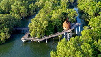 Ảnh chụp đài quan sát và đường mòn ven biển tại Khu Bảo tồn Đầm lầy Sungei Buloh Wetland Reserve